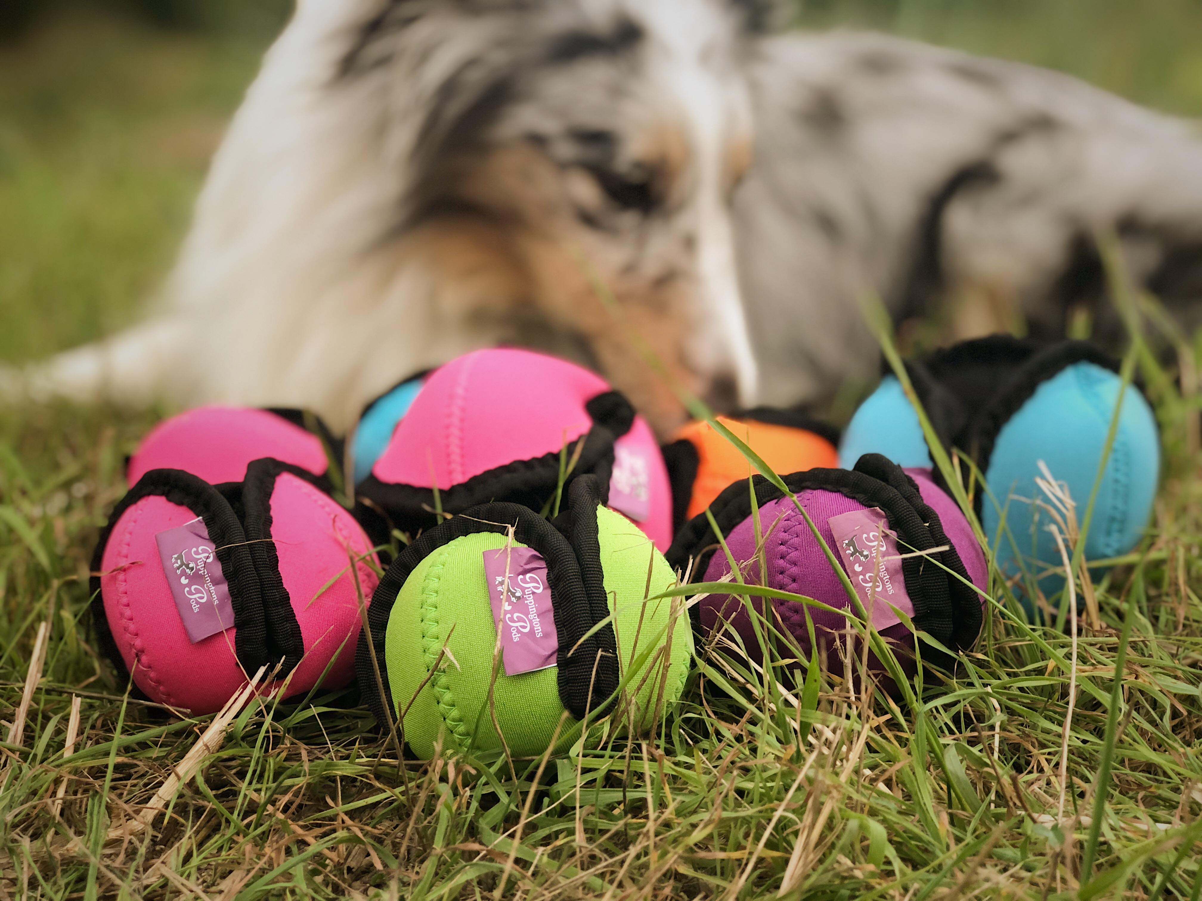 Puppingtons Pods – Run for Fun Agility